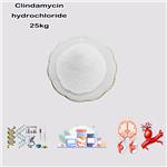 21462-39-5 Clindamycin hydrochloride