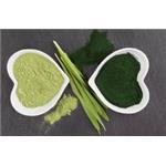 76-43-7 Fluoxymesterone