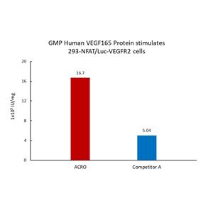GMP Human VEGF165 Protein