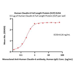 Human Claudin-6 / CLDN6 Full Length Protein (VLP)