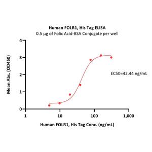 Human FOLR1 Protein