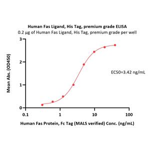 Human Fas Ligand / TNFSF6 Protein
