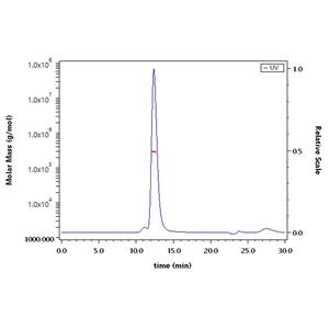 Human Insulin R / CD220 (28-944) Protein