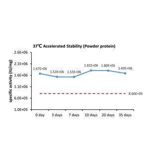 GMP Human VEGF165 Protein