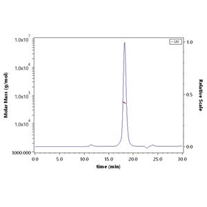 Human BAFF / TNFSF13B / CD257 Protein