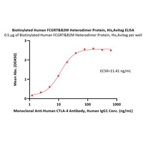 Biotinylated Human FcRn / FCGRT&B2M Heterodimer Protein