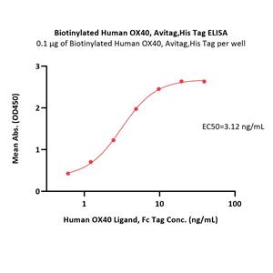 Biotinylated Human OX40 / TNFRSF4 / CD134 Protein