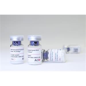 Custom GMP-grade Protein Services