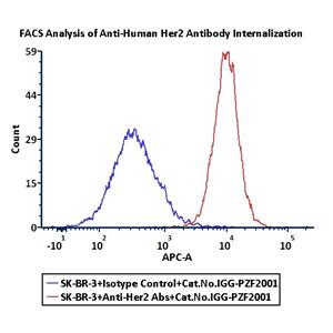 Antibody Internalization Detection Reagent