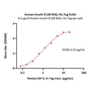 Human Insulin R / CD220 (28-944) Protein