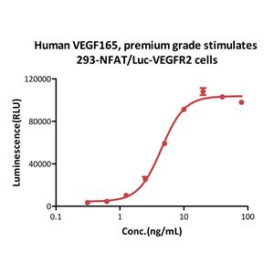 Human VEGF165 Protein