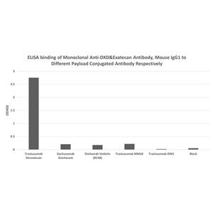Monoclonal Anti-DXD&Exatecan Antibody