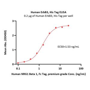 Human ErbB3 / Her3 Protein
