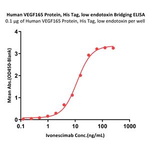 Human VEGF165 Protein