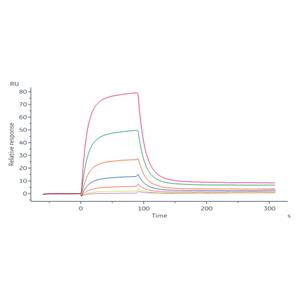 Human Cadherin-17 / CDH17 Protein