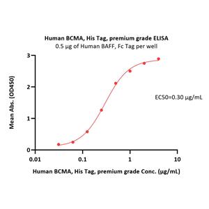 Human BCMA / TNFRSF17 Protein