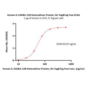 Human IL-23 alpha&IL-12 beta Heterodimer Protein