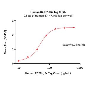 Human B7-H7 / HHLA2 Protein