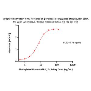 Streptavidin Protein-HRP