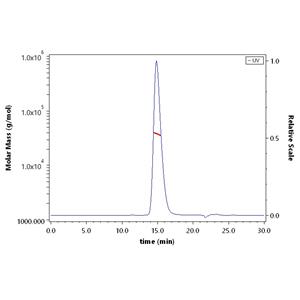 Human Fc gamma RIIIA / CD16a (V176) Protein