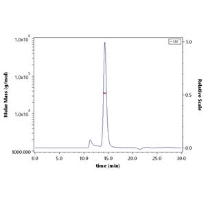 Biotinylated Human CD2 / SRBC Protein