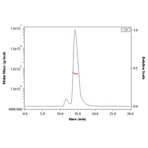 Human B7-H7 / HHLA2 Protein