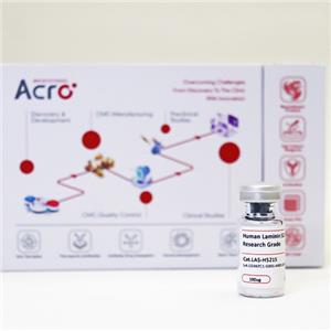 HGFR / c-MET Protein