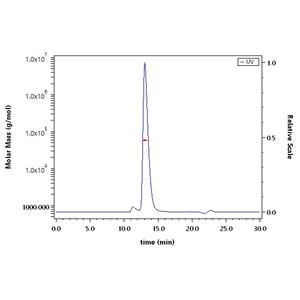 Human / Cynomolgus / Rhesus macaque ROR1 Protein