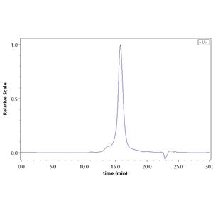 Human Cadherin-6 / KCAD / CDH6 Protein