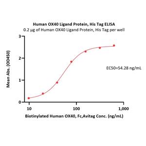Human OX40 Ligand / TNFSF4 Protein