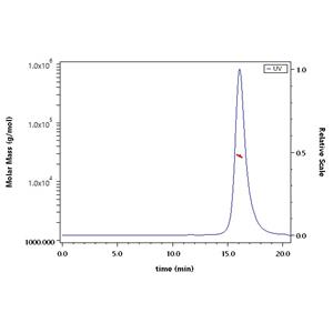 Human DcR3 / TNFRSF6B Protein