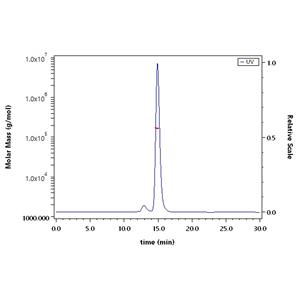 Human CD40 Ligand / TNFSF5 Protein