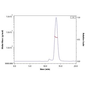 Human B7-2 / CD86 Protein