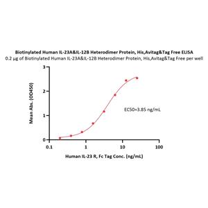 Biotinylated Human IL-23 alpha&IL-12 beta Heterodimer Protein