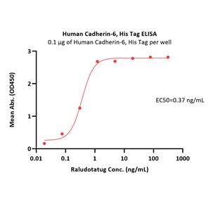 Human Cadherin-6 / KCAD / CDH6 Protein