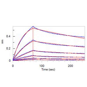 Human APRIL / TNFSF13 Protein
