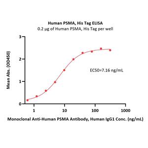 Human PSMA / FOLH1 Protein