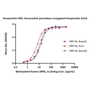 Streptavidin Protein-HRP