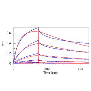 Human Nectin-4 Protein