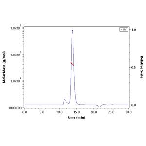 Human B7-1 / CD80 Protein