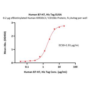 Human B7-H7 / HHLA2 Protein