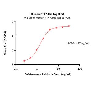 Human PTK7 / CCK4 Protein