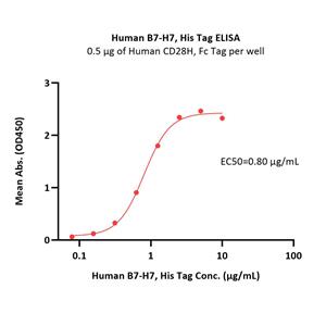 Human B7-H7 / HHLA2 Protein