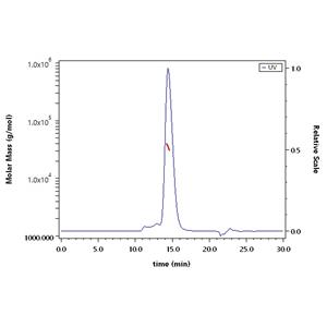 Human Fc gamma RIIIB / CD16b (NA2) Protein