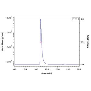 Human CEACAM-5 / CD66e Protein