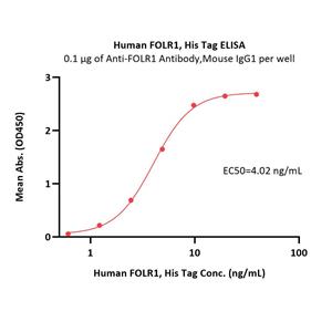 Human FOLR1 Protein