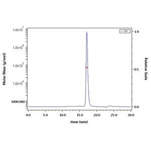 Biotinylated Human Serum Albumin Protein