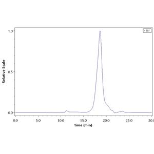 Human BCMA / TNFRSF17 Protein