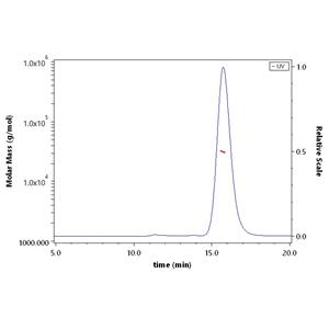 Human Fc gamma RIIA / CD32a (R167) Protein