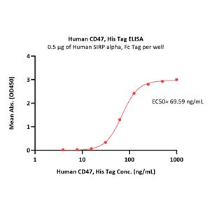 Human CD47 Protein